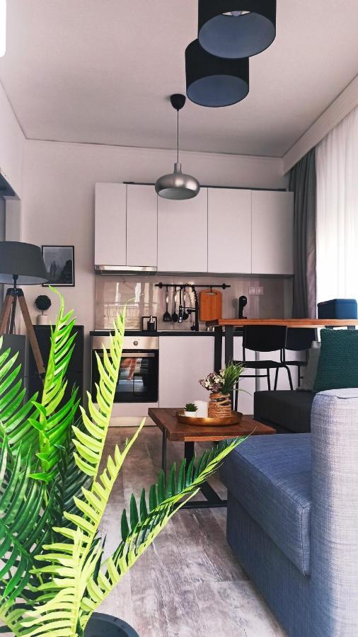 Down Town Luxurious Apartments Alexandroupolis Exteriör bild